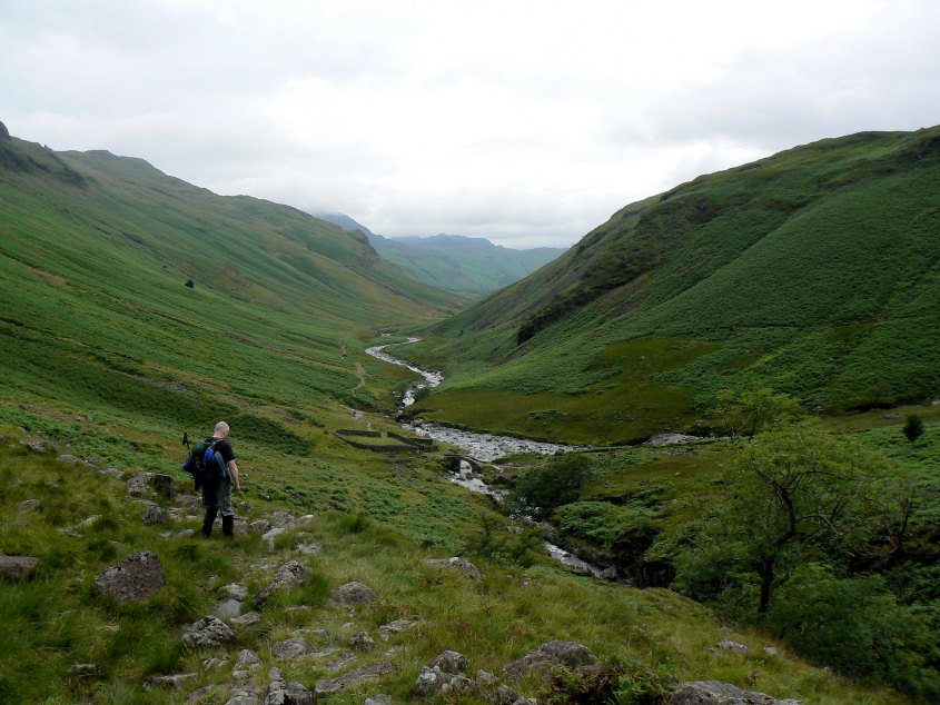 Lingcove Beck Lingcove Beck